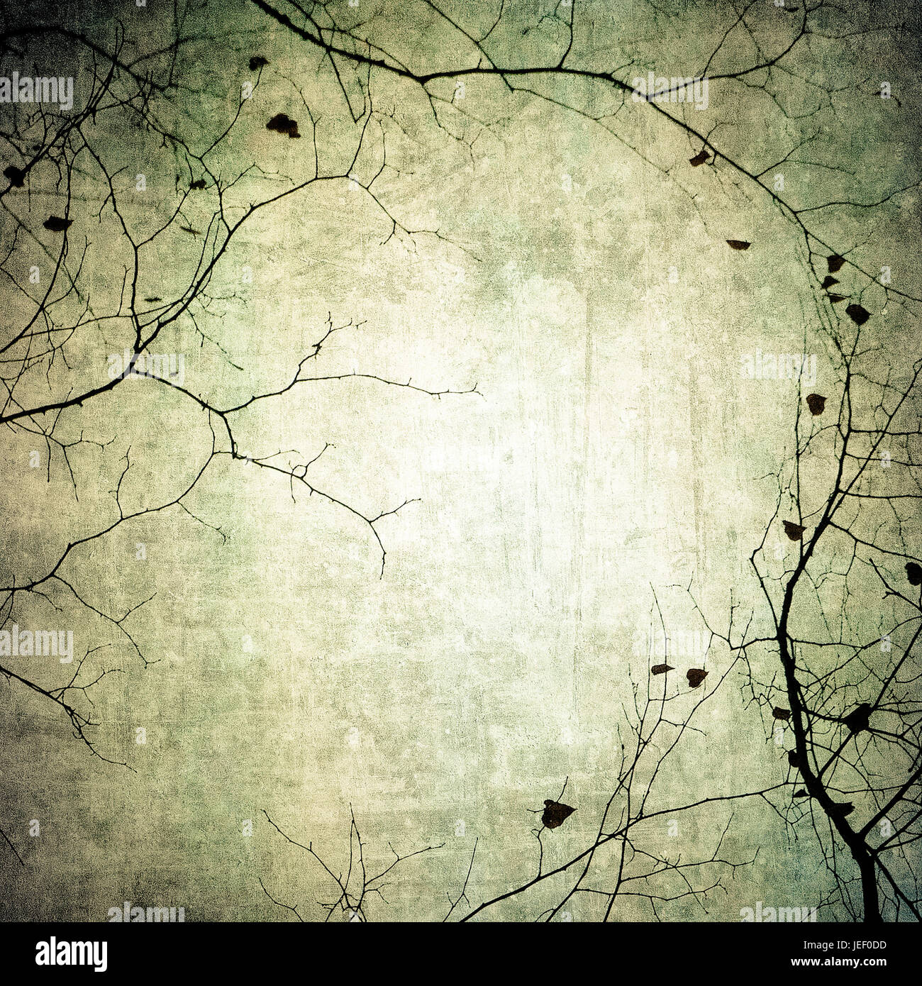 grunge frame with tree silhouettes Stock Photo - Alamy
