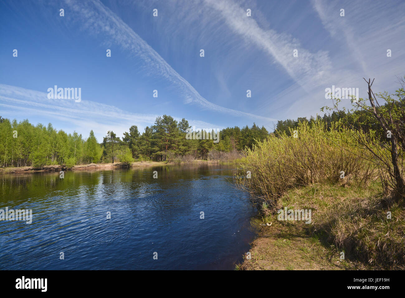 Spring on the forest river. May landscape in the national park of ...
