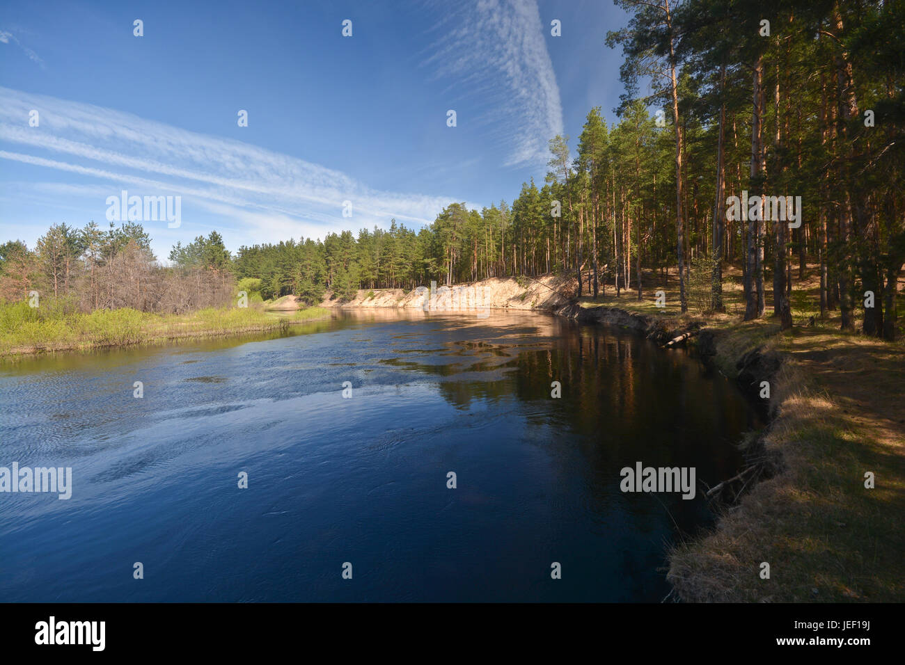 Spring on the forest river. May landscape in the national park of ...