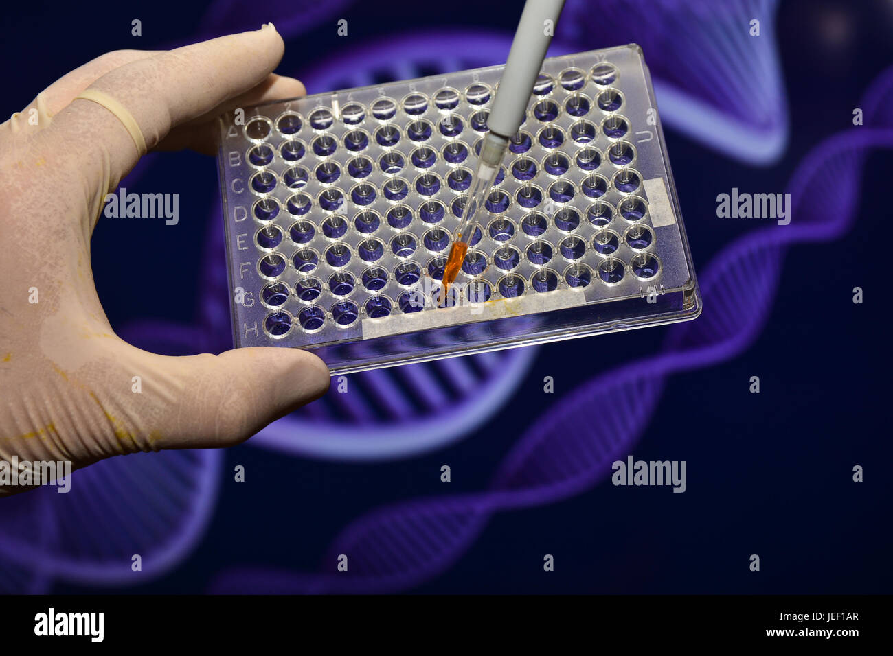 DNA testing in laboratories. Biological scientific equipment
