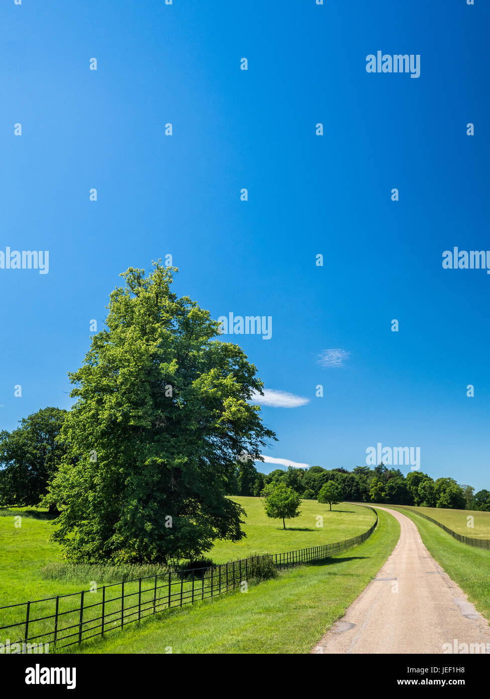 A pale country road beneath clear blue skies and receding into a distant vanishing point on a sunny day near St Albans, Hertfordshire, England. Stock Photo