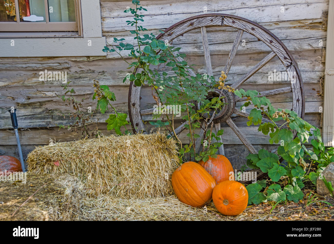 Antique wagon wheel leaning against a building with hay bales and pumpkins to create an autumn feel. Stock Photo