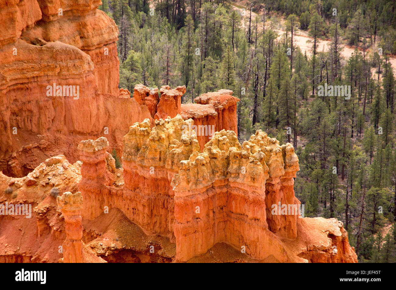 Bryce Canyon, Utah, North America, Nordamerika Stock Photo Alamy