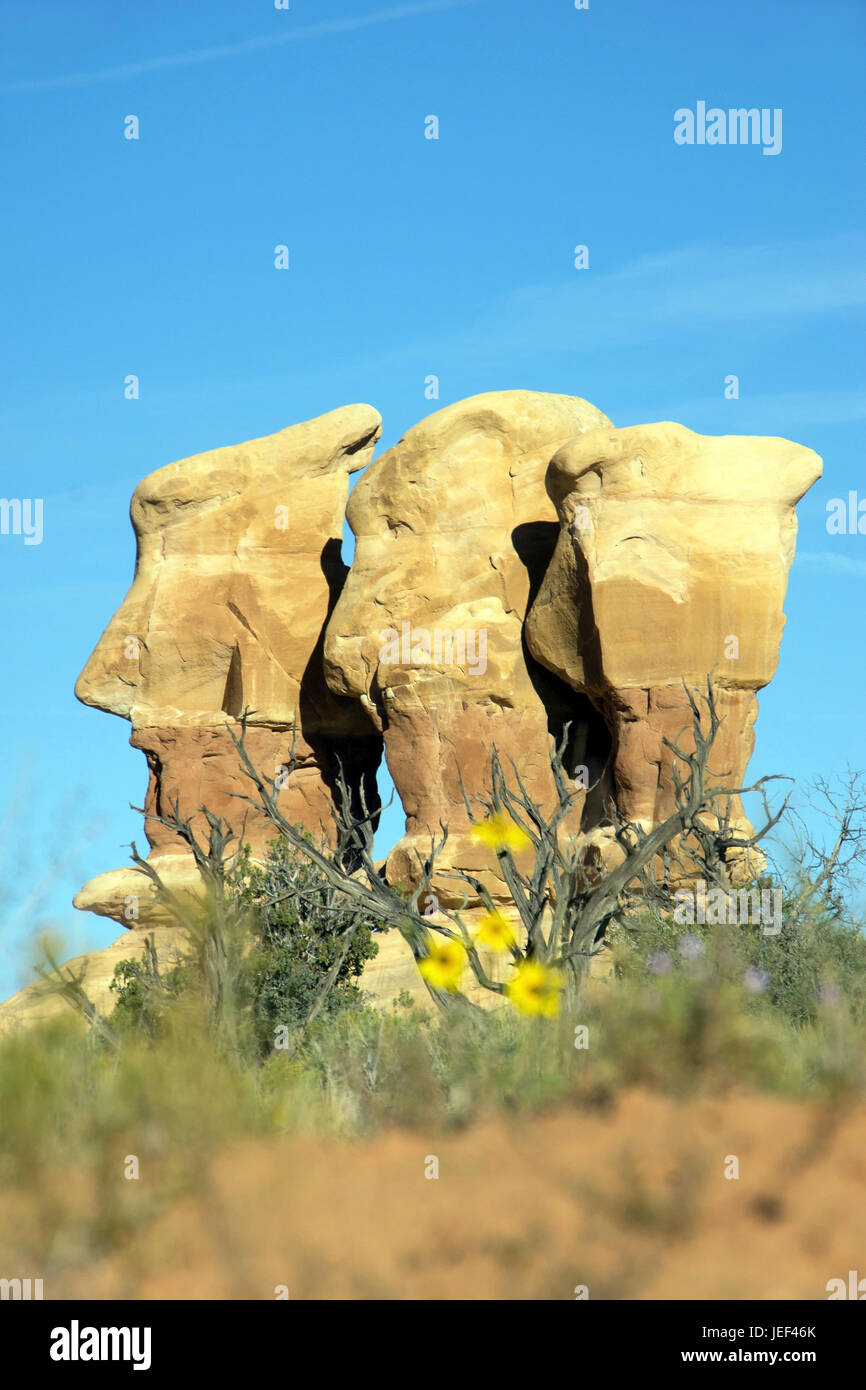 Rocks in the Devil's guards in Utah, North America, Felsen im Devil´s ...