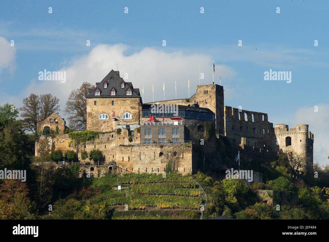 Castle Rhine rock, Saint Goar, Rhineland-Palatinate,, Burg Rheinfels ...