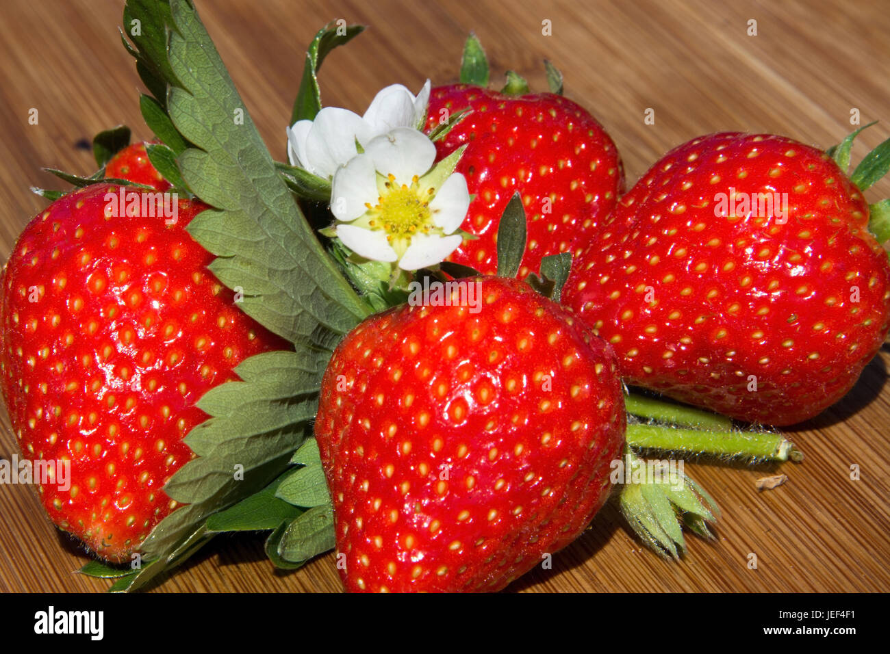 Strawberries, decoration, Fragaria, rose plant, Erdbeeren, Dekoration, Rosengewaechs Stock Photo