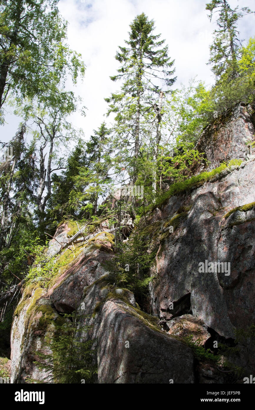 The national park Skuleskogen lies in a mountainous, very diverse coastal region on the Baltic Sea to the south of ?rnsk?ldsvik. The region is also ca Stock Photo