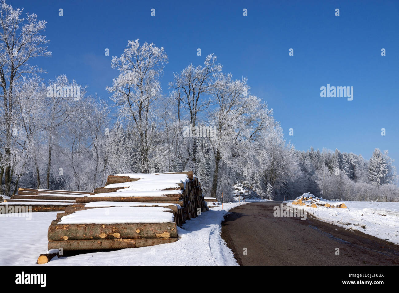 Felling in winter, wooden pile in the street edge., Holzeinschlag im Winter, Holzstapel am Strassenrand. Stock Photo