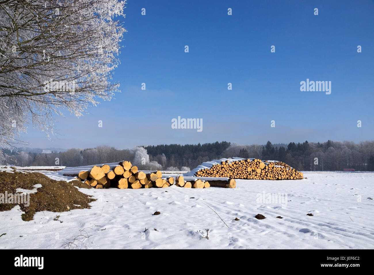 Felling in winter, wooden pile in the street edge., Holzeinschlag im Winter, Holzstapel am Strassenrand. Stock Photo