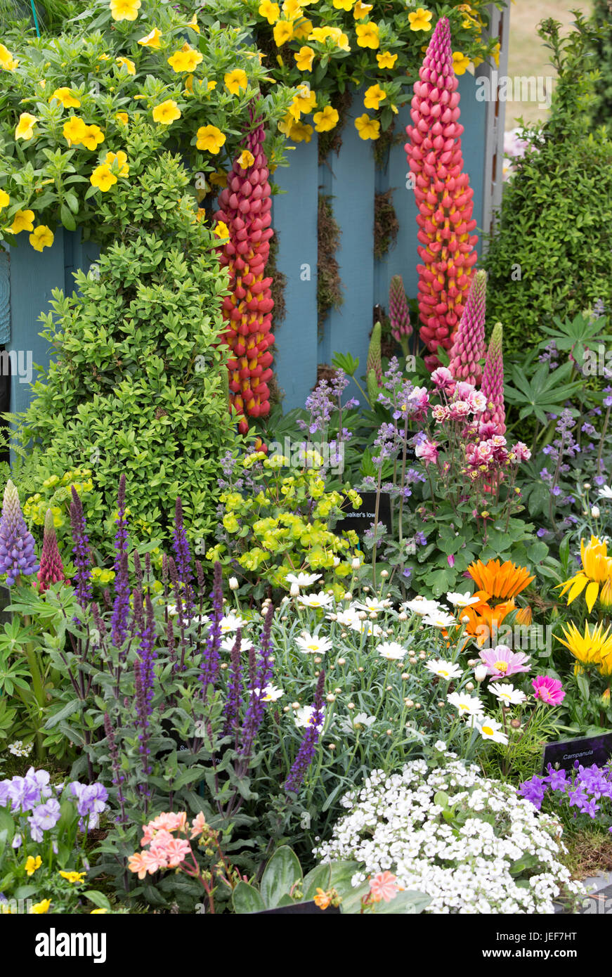 Cottage garden border flowers hi-res stock photography and images - Alamy