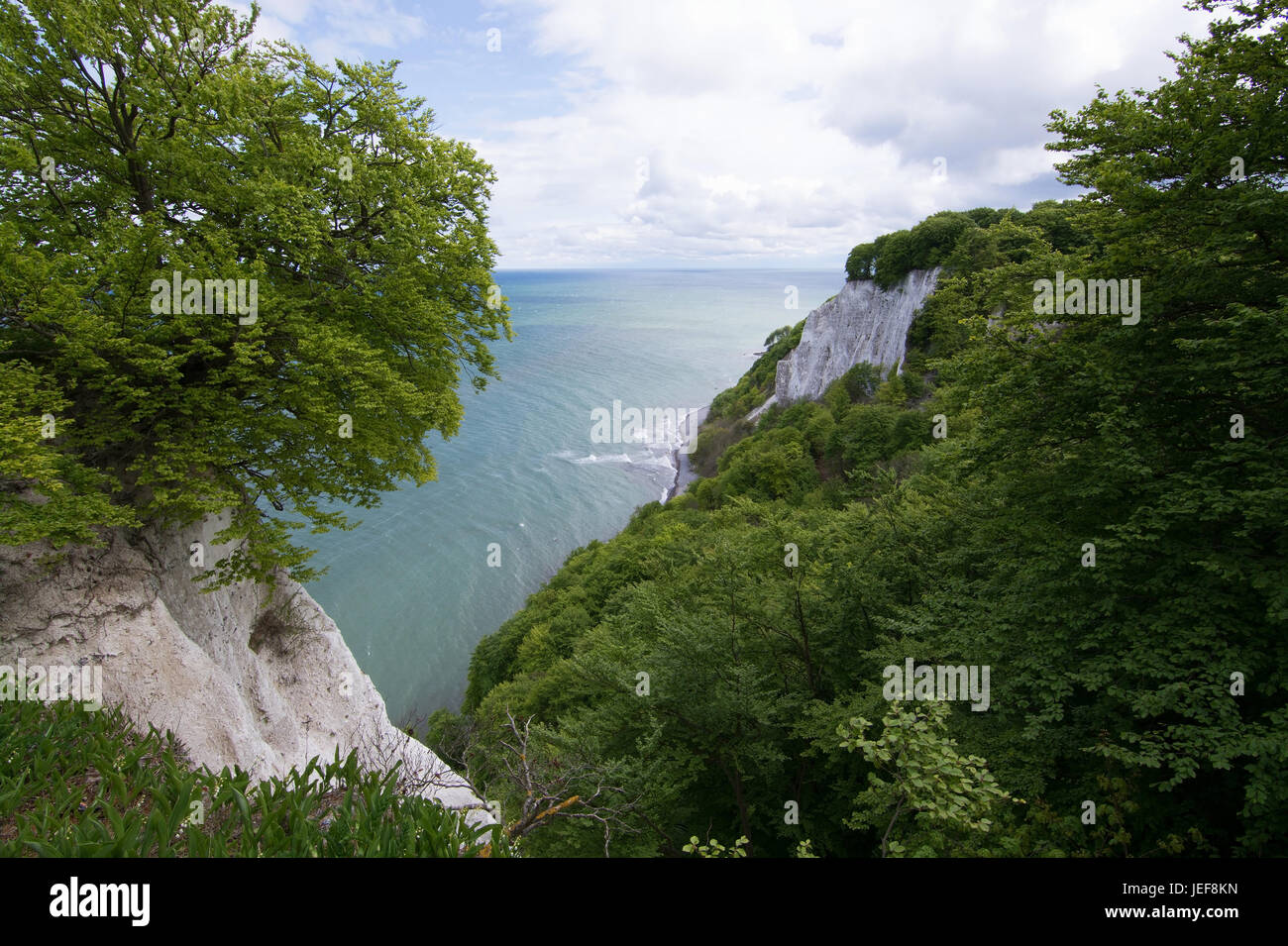 The king's chair is the most famous chalk rock formation of the Stubbenkammer in the national park Jasmund on the island R?gen, Der Königsstuhl ist di Stock Photo