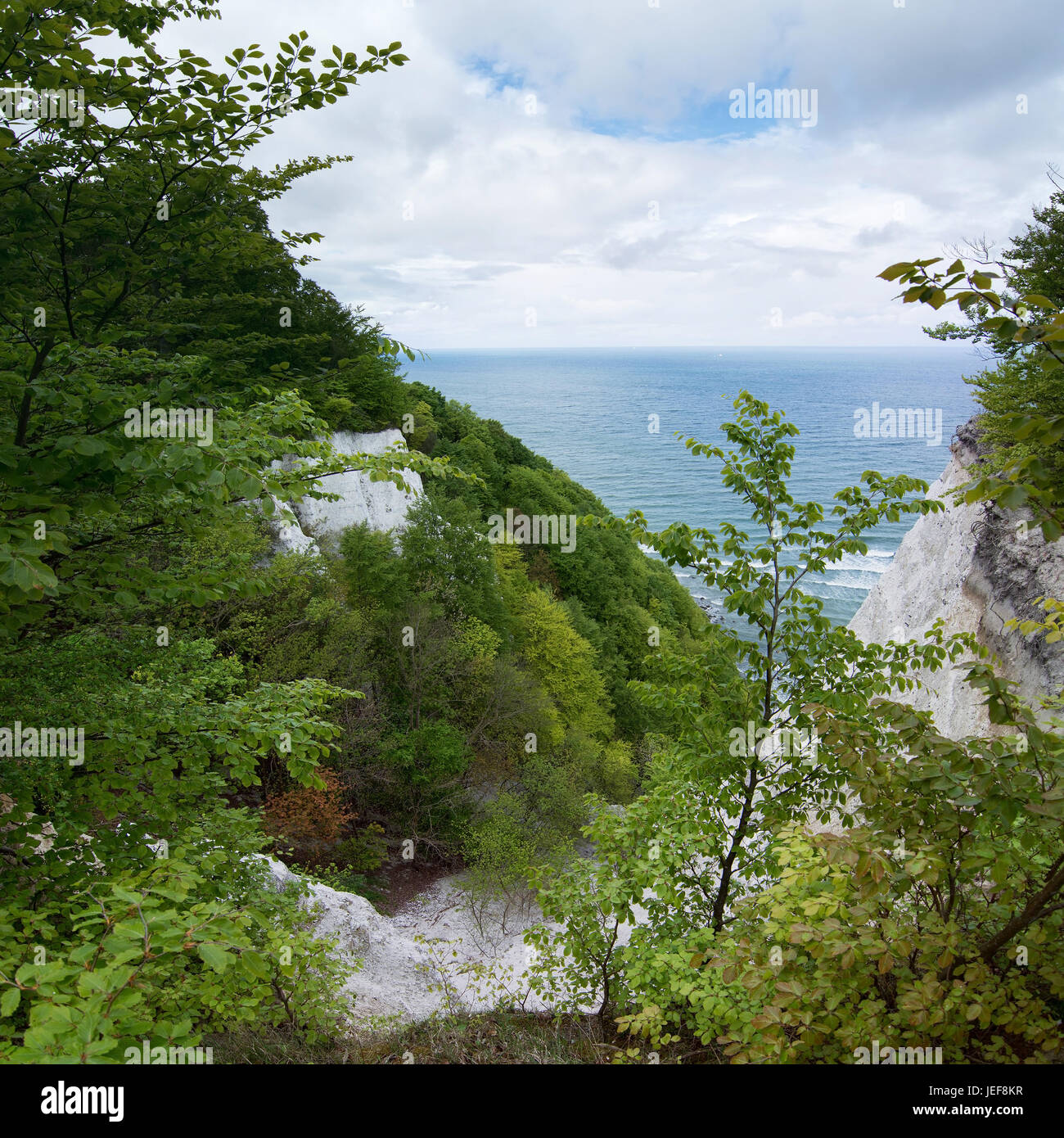 The king's chair is the most famous chalk rock formation of the