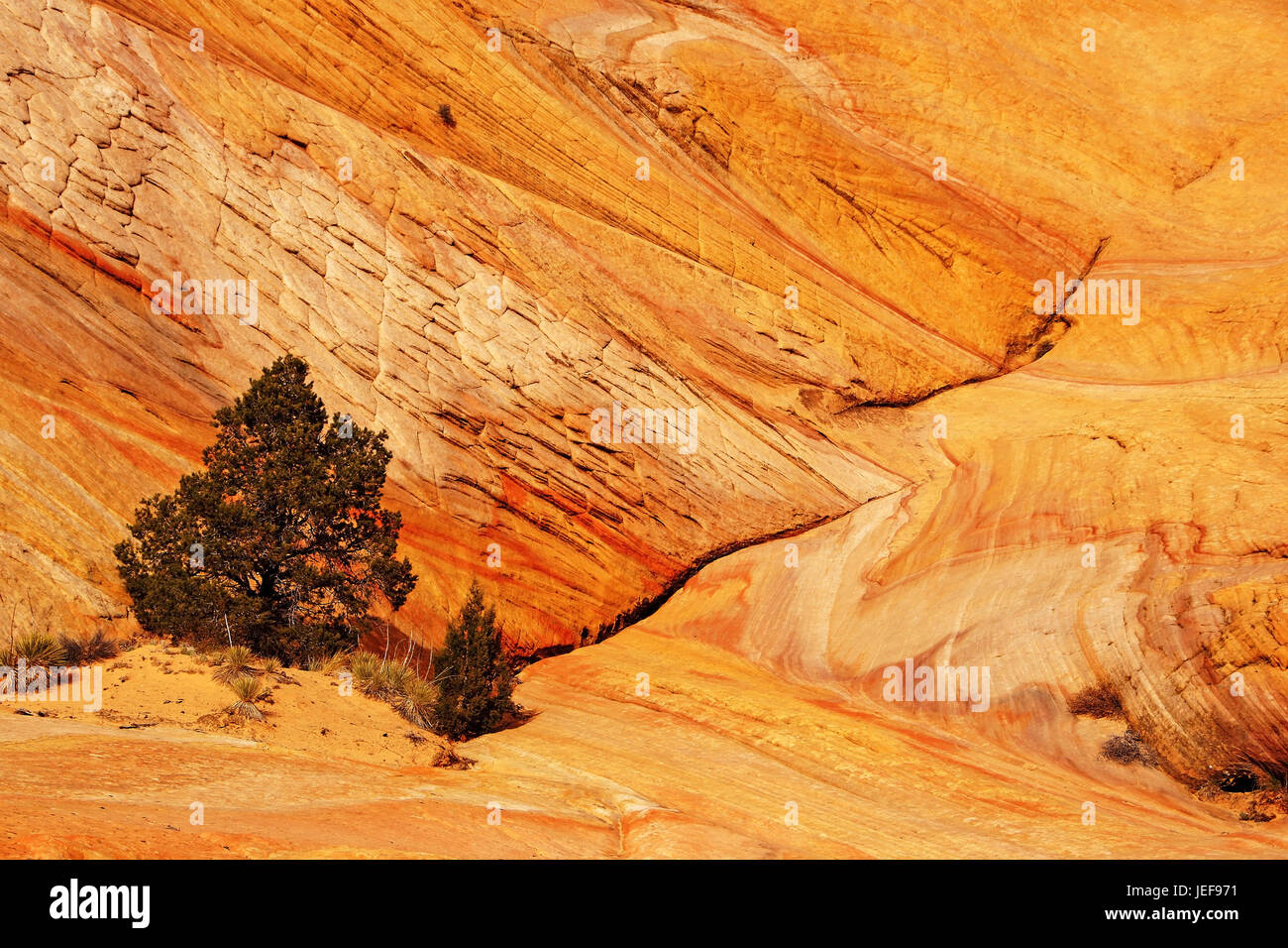 Grand Staircase Escalante NP Stock Photo Alamy