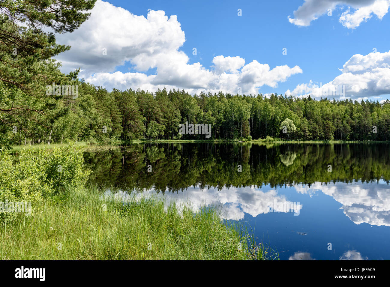 White clouds on the blue sky over forest lake with reflections Stock ...