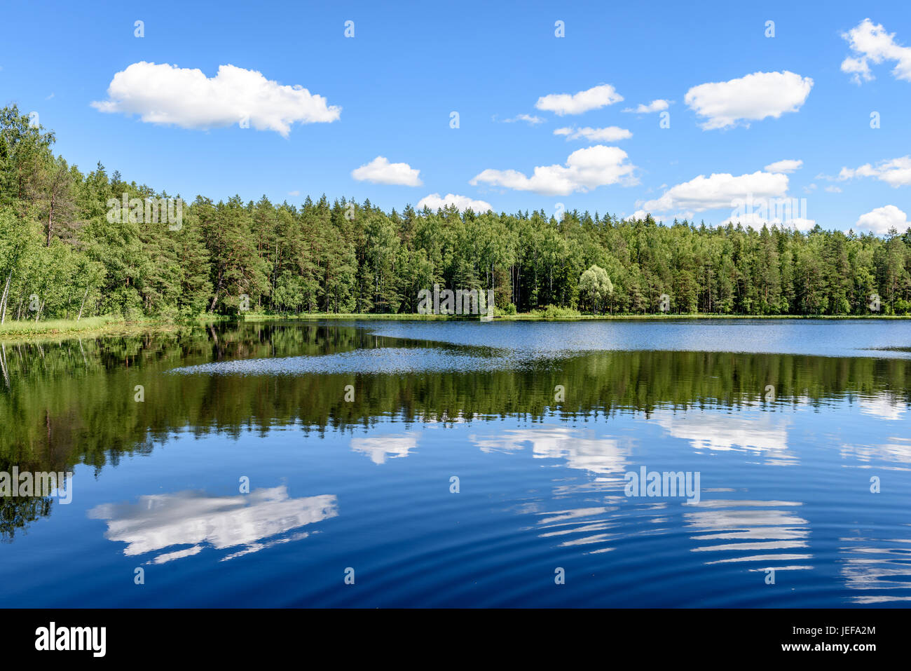 White clouds on the blue sky over forest lake with reflections Stock ...