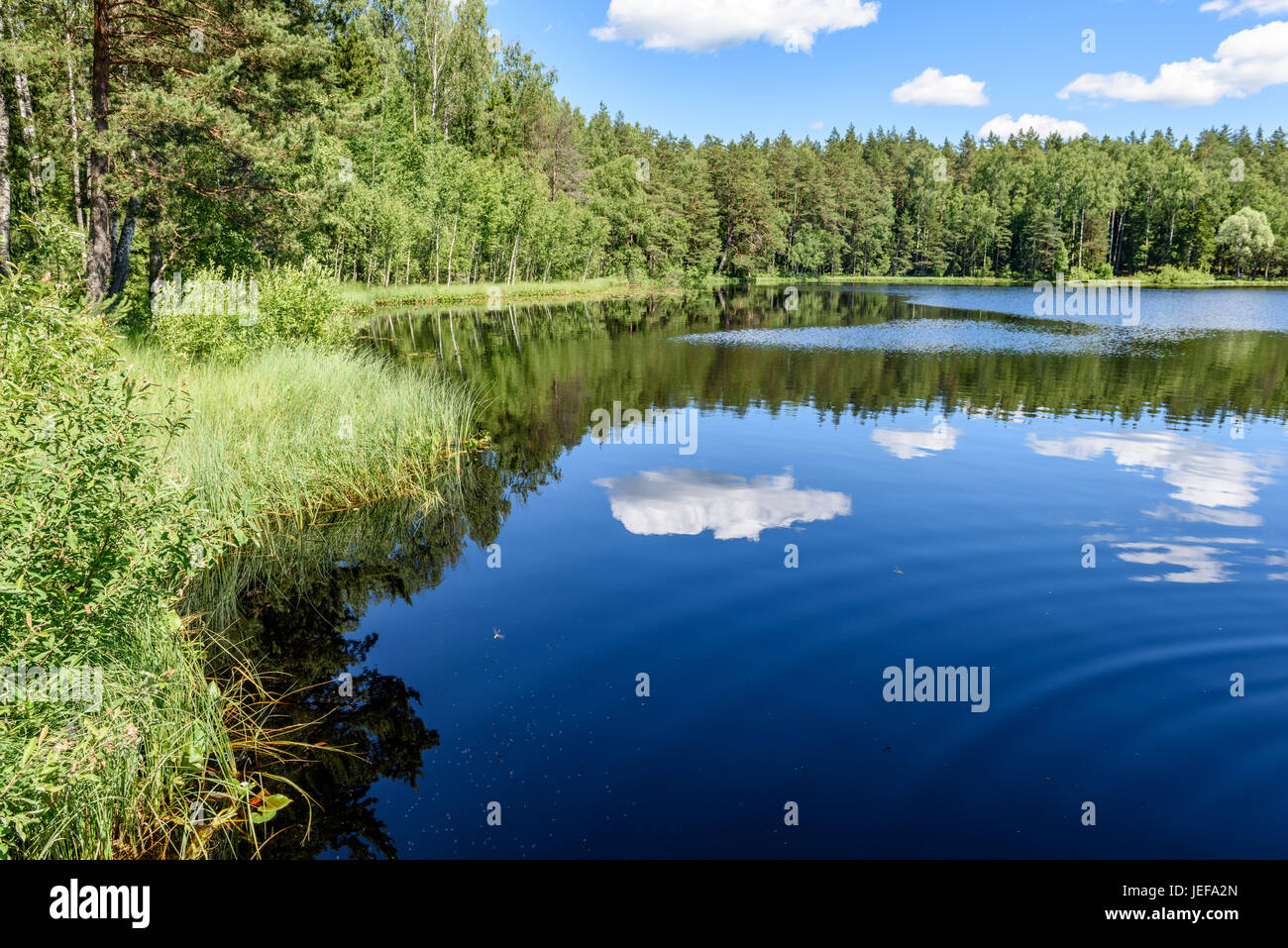 White clouds on the blue sky over forest lake with reflections Stock ...