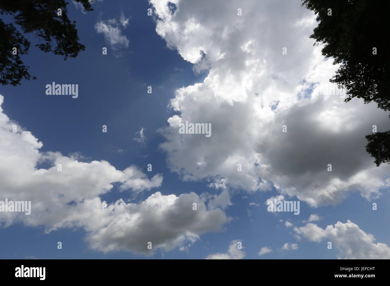 Cumulus clouds, Florida Stock Photo