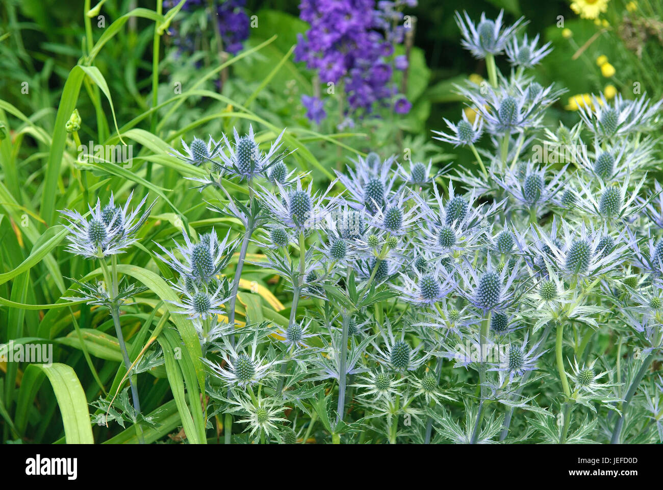 Spanischer hires stock photography and images Alamy