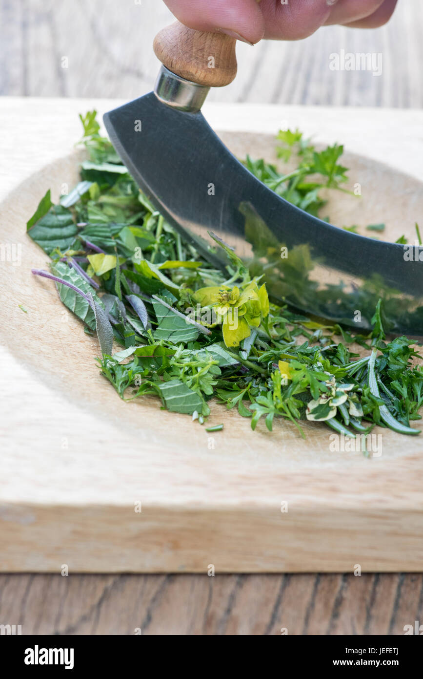 Double Handed Herb Chopper and Green Leaves with Selective Focus on Chopper  Stock Photo - Image of coriander, freshness: 172190506