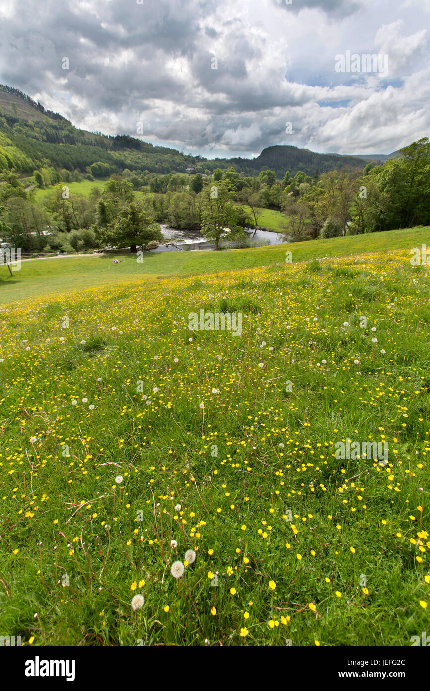 The town of Llangollen, Wales. Picturesque view of the Thomas Telford designed Horseshoe Falls