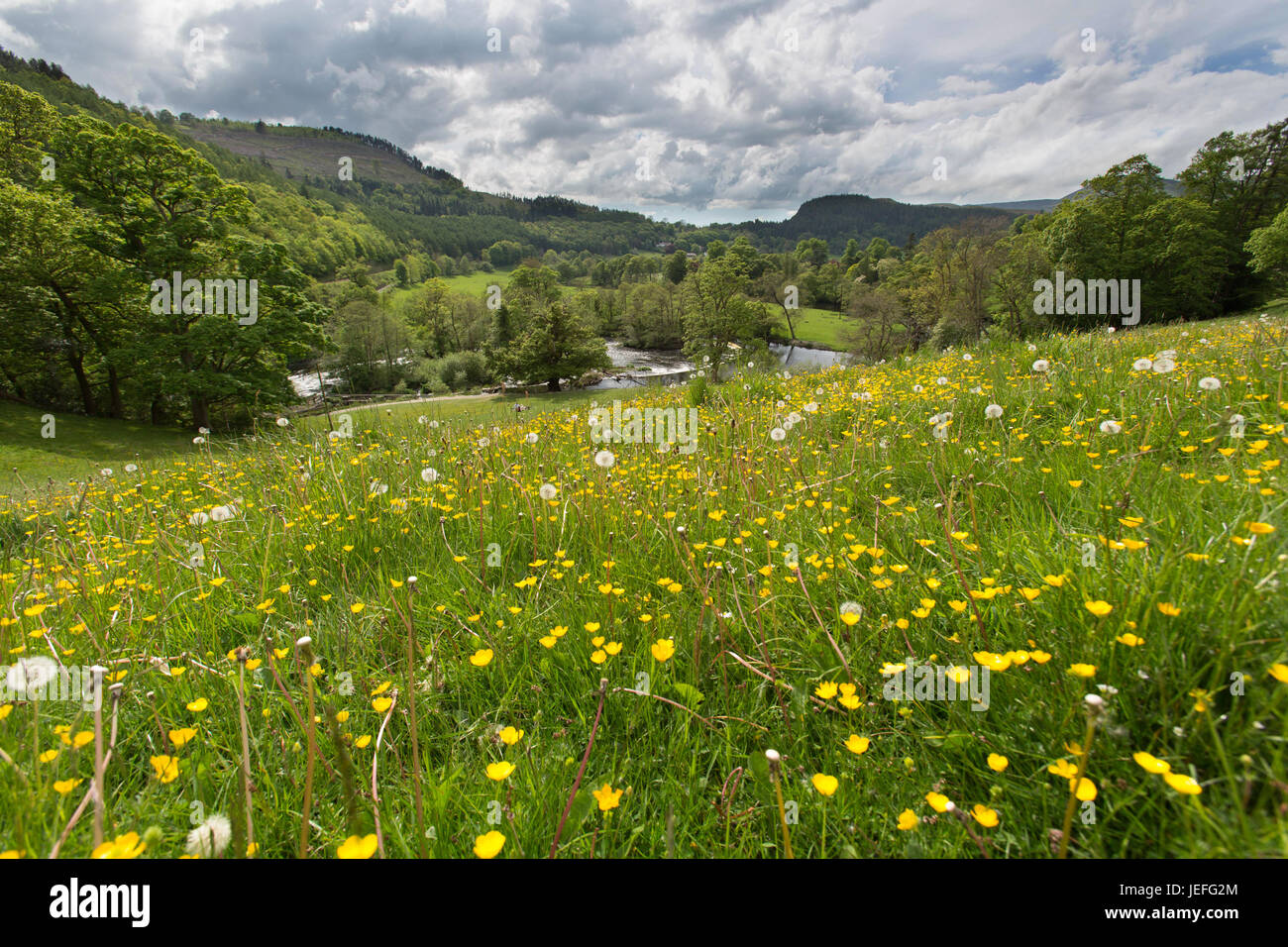 The town of Llangollen, Wales. Picturesque view of the Thomas Telford designed Horseshoe Falls