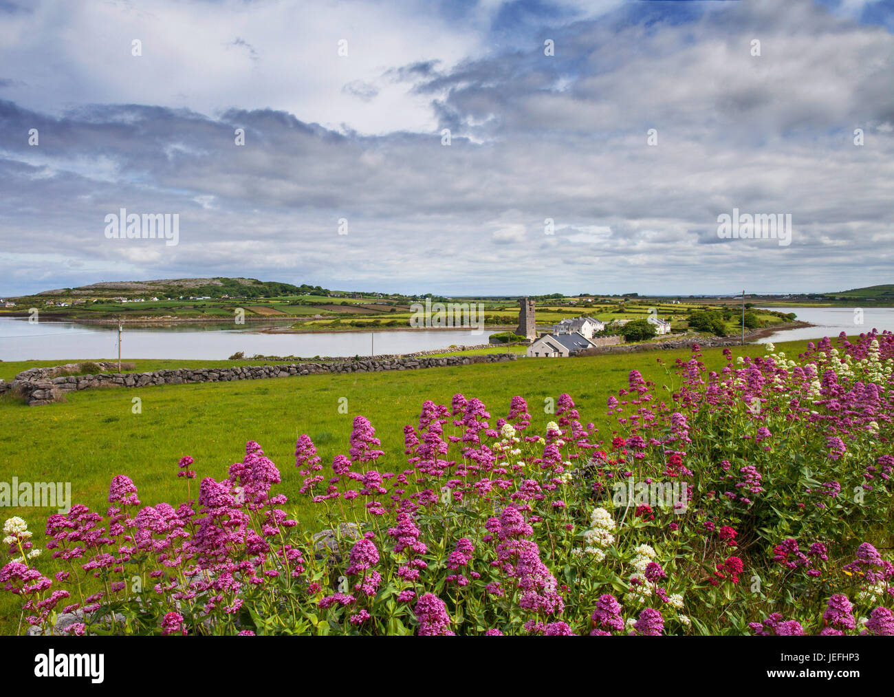 Muckinish Castle stands  on a narrow part of an isthmus jutting into Pouldoody Bay, near Ballyvaughan, County Clare, Ireland Stock Photo