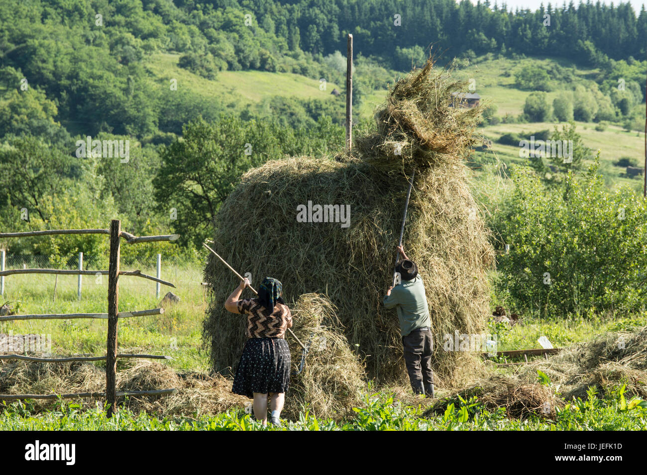 hay harvest in Romania Stock Photo