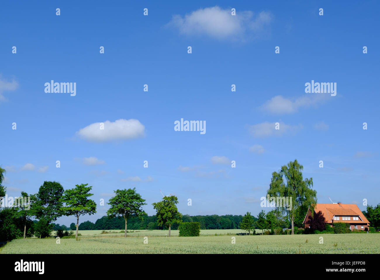 Are Summer Months the Best Time to Visit? Weather, Climate and Seasons ...