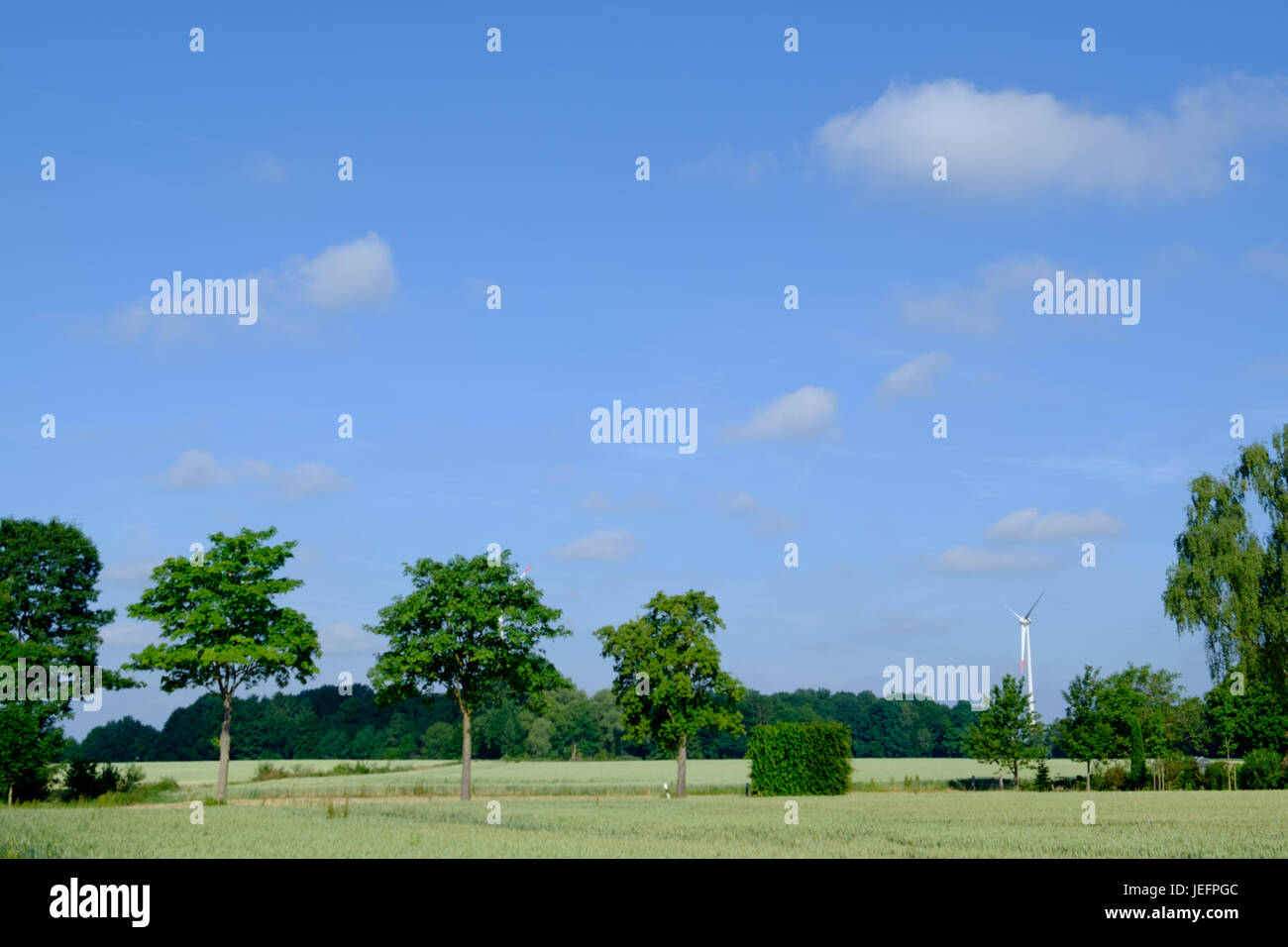 Summer in germany – Artofit Summer in germany – Artofit