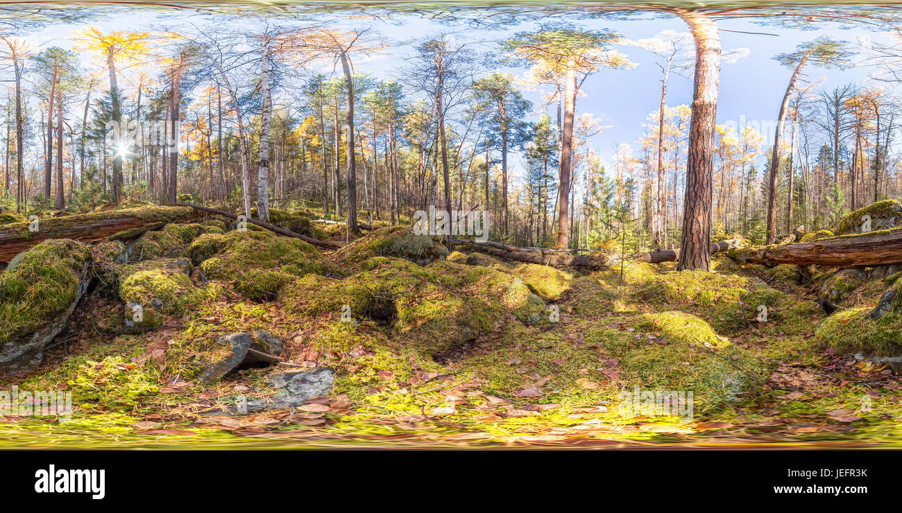 360 jungle hi-res stock photography and images - Alamy