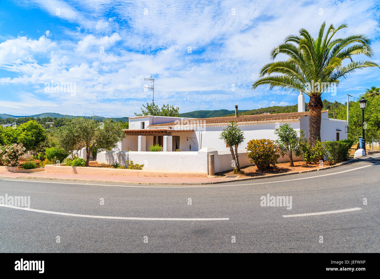 Typical white house with palm tree on side of a road in Sant Carles de Peralta village, Ibiza island, Spain Stock Photo