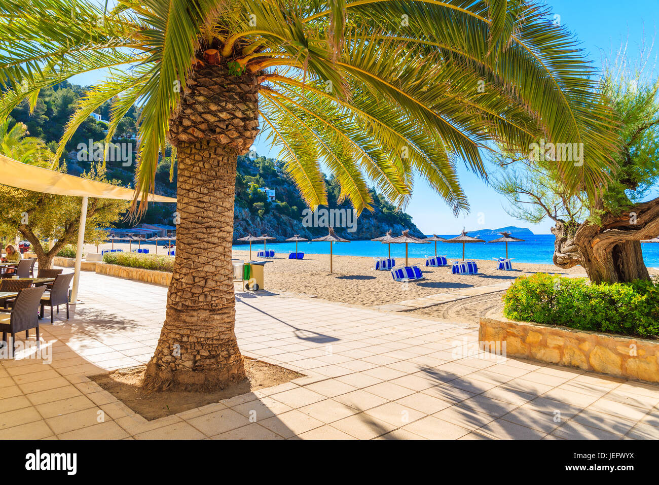 CALA SAN VICENTE BAY, IBIZA ISLAND - MAY 19, 2017: view of beach from coastal promenade with palm trees in Cala San Vicente bay, Ibiza island, Spain. Stock Photo