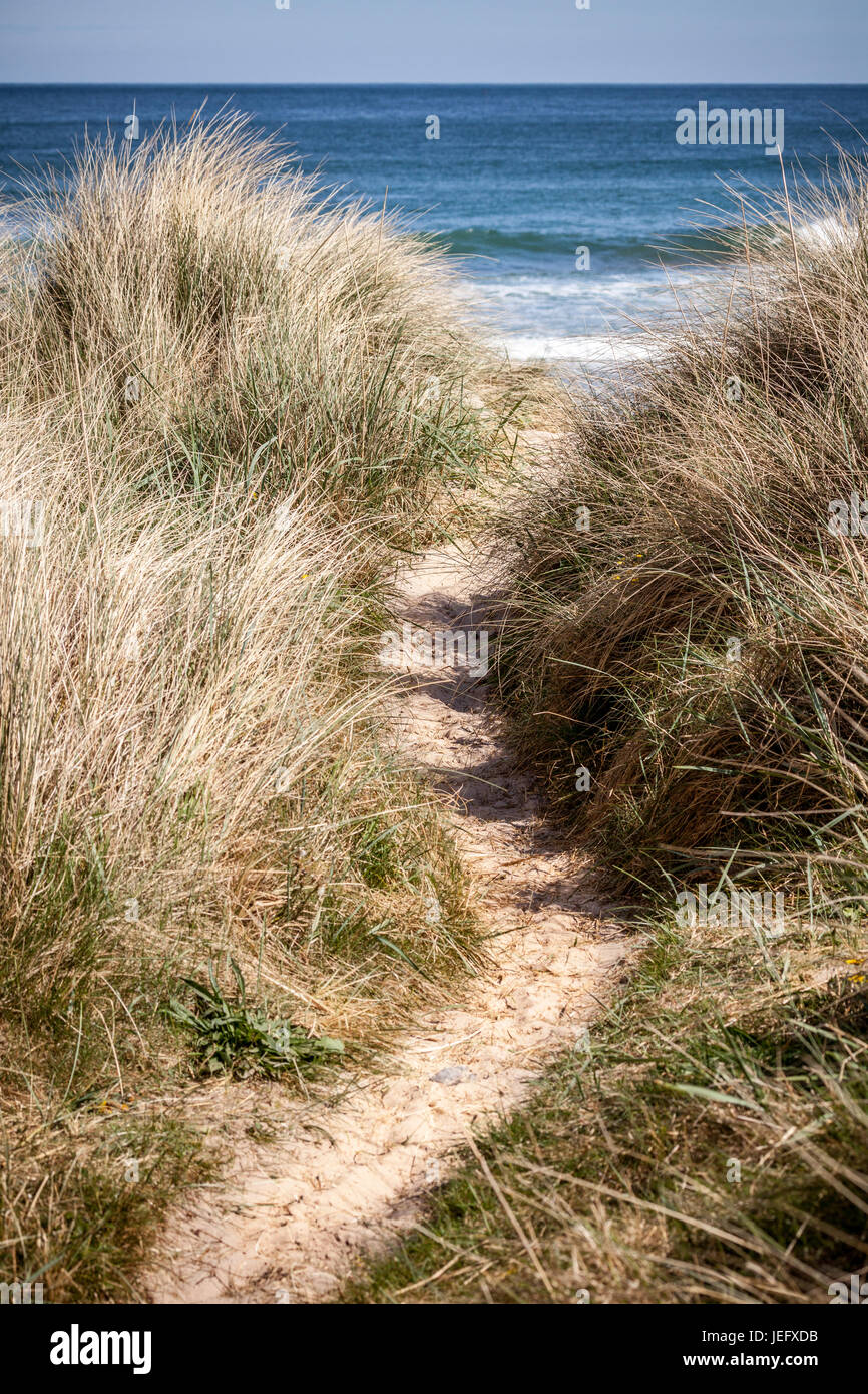 Views of the sand dunes on the Northumberland coast, England, UK, Europe. Stock Photo