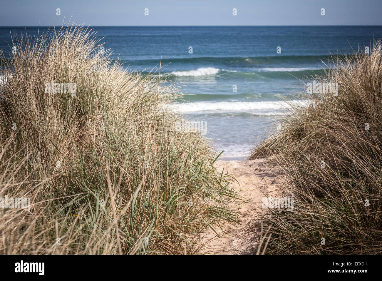 Views of the sand dunes on the Northumberland coast, England, UK, Europe. Stock Photo