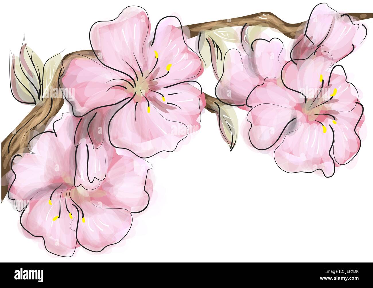 japan cherry blossom isolated on a white background Stock Vector Image ...