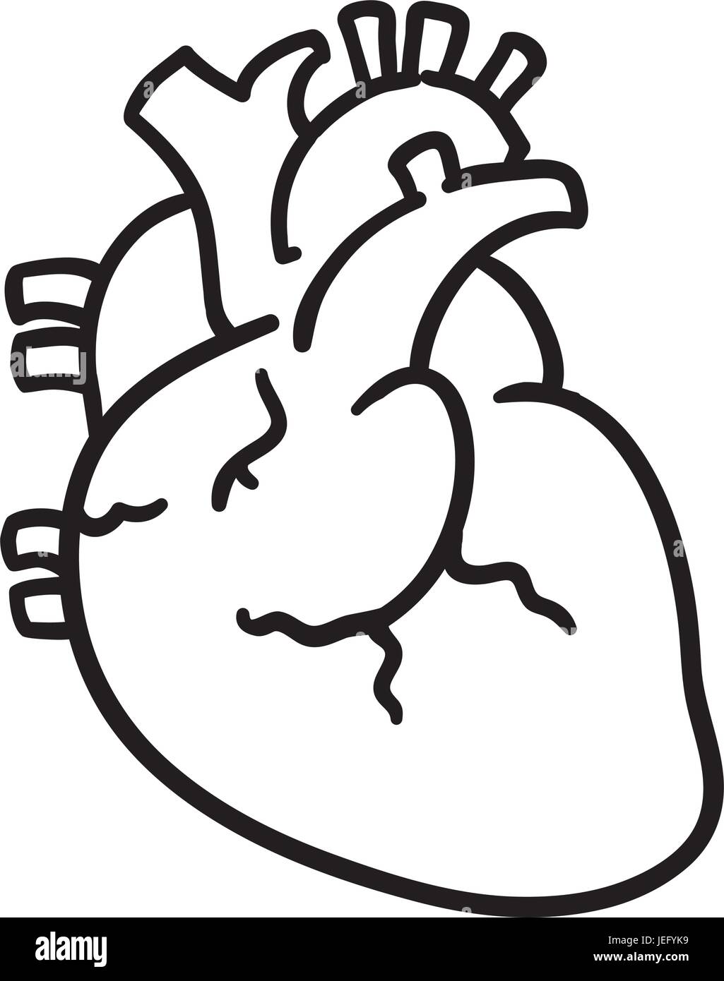 isolated human heart Stock Vector Image & Art - Alamy
