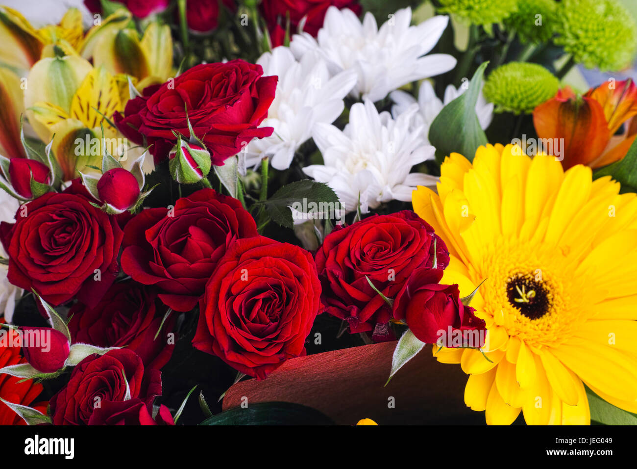 Rose daisy gerbera flowers hires stock photography and images Alamy