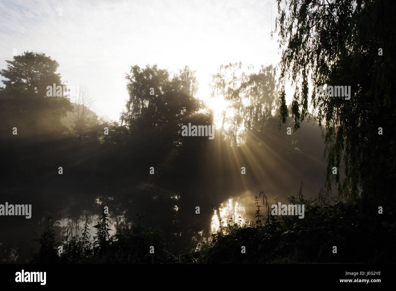 The Morning Rays of Sunlight Penetrate the Mist Over the Calm River Exe ...