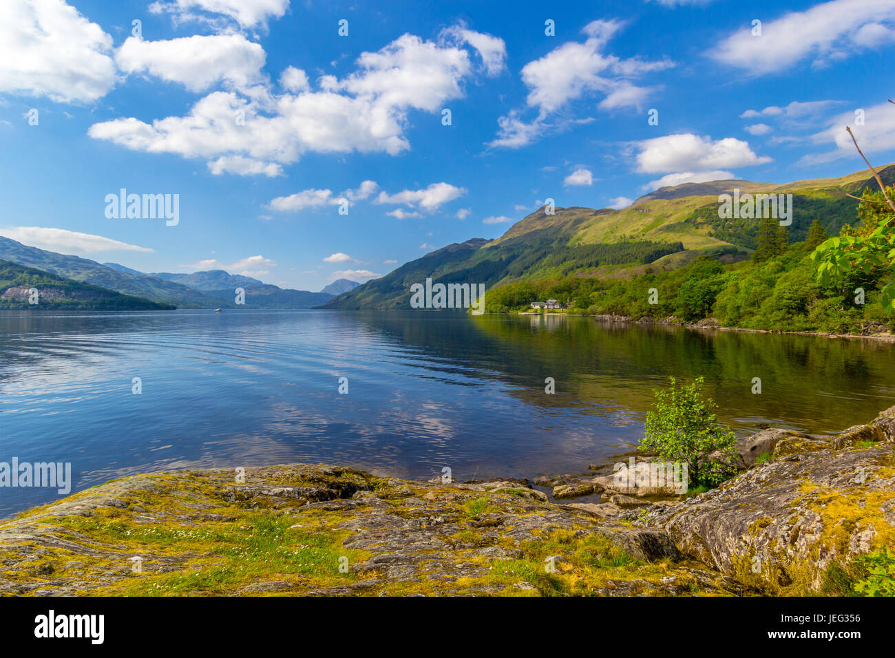 Loch Lomond at rowardennan, Summer in Scotland, UK Stock Photo