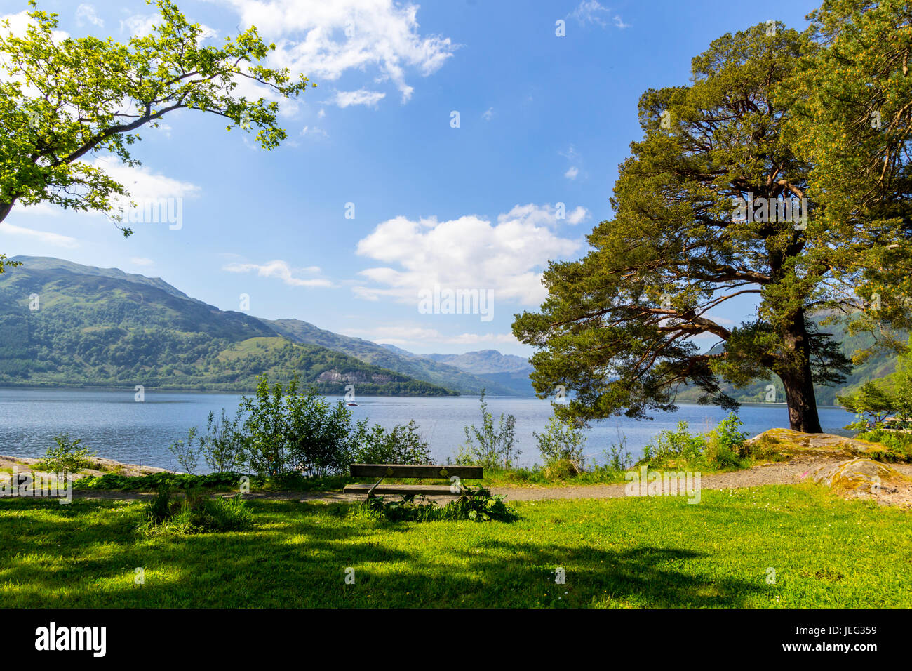 Loch Lomond at rowardennan, Summer in Scotland, UK Stock Photo
