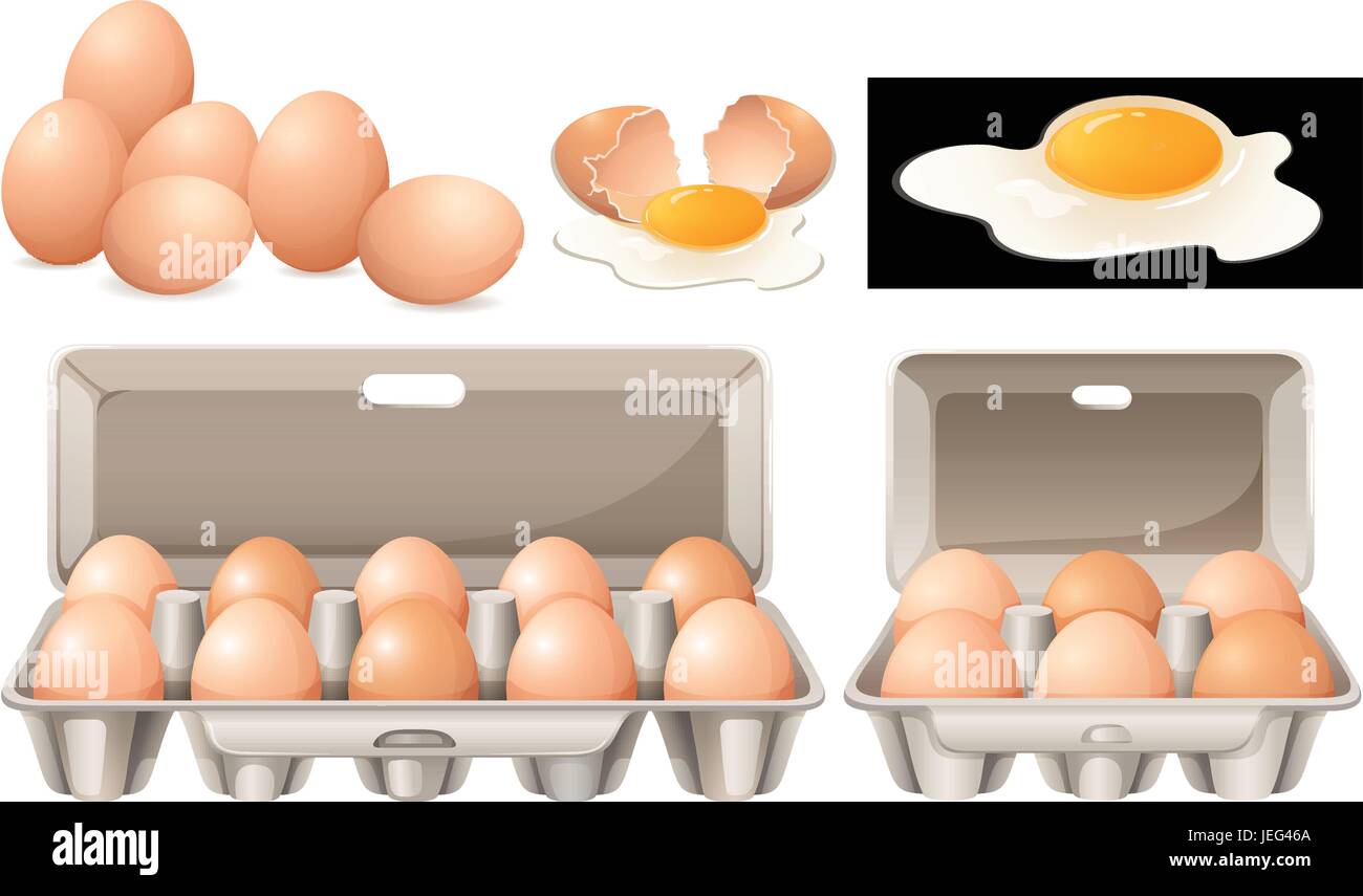 Raw eggs in different packages illustration Stock Vector