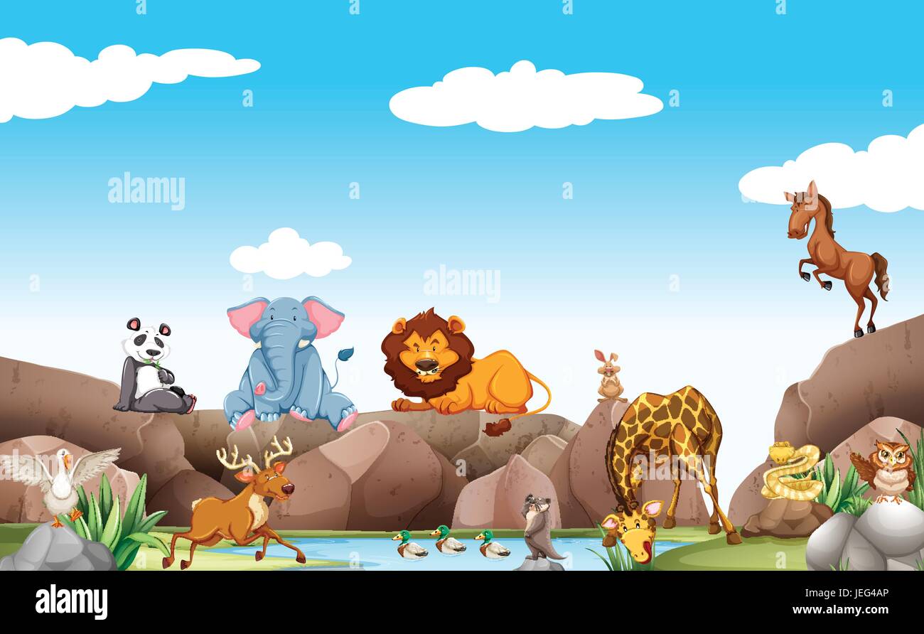 Scene with wild animals by the pond illustration Stock Vector Image ...