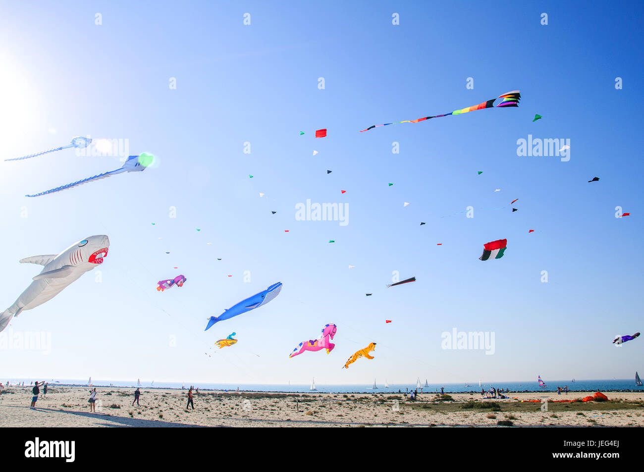 Dubai International Kite Festival Stock Photo Alamy