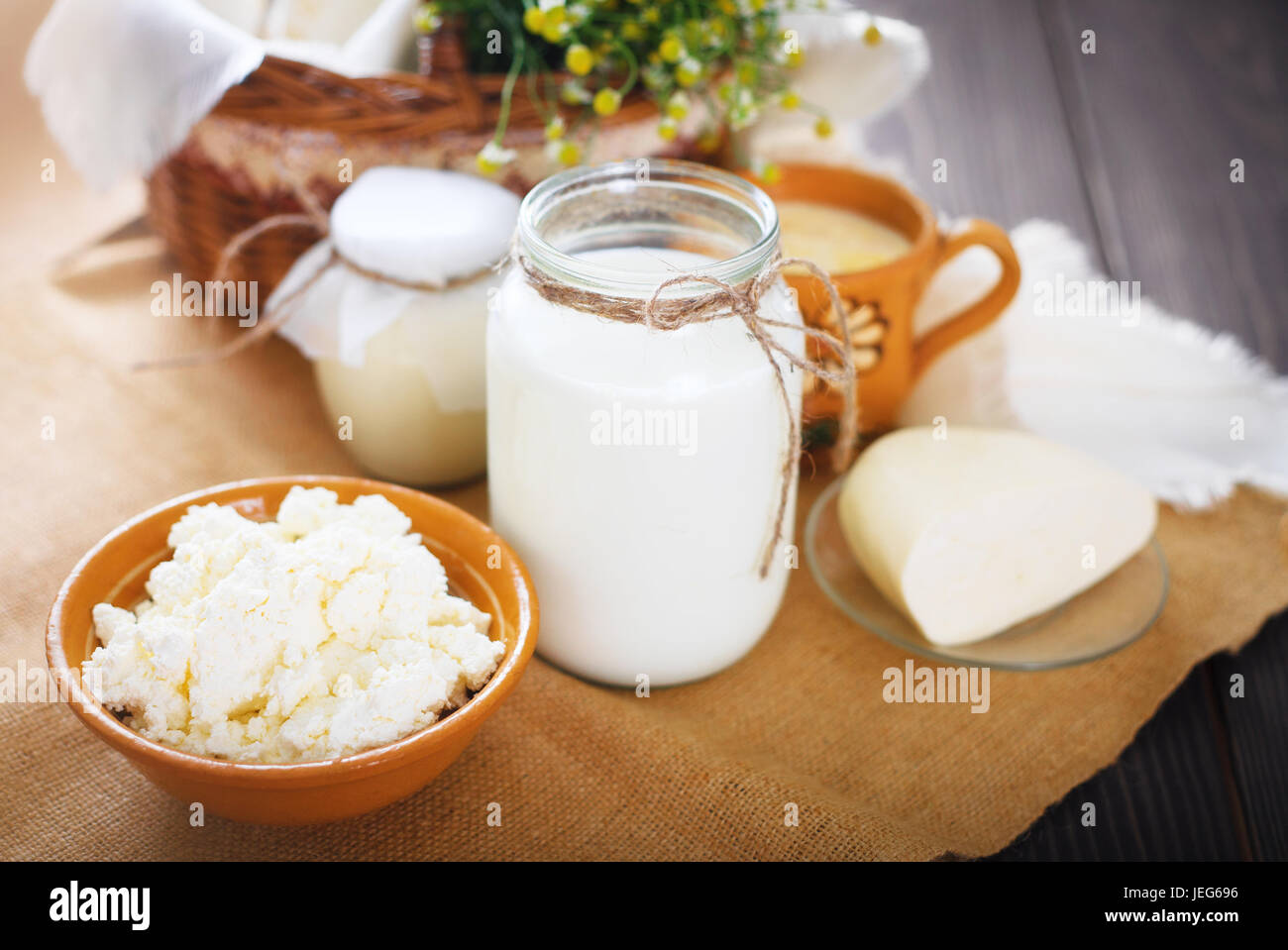 Assorted dairy products milk, yogurt, cottage cheese, sour cream