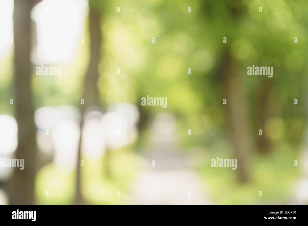 Real photo abstract blurry hi-res stock photography and images - Alamy