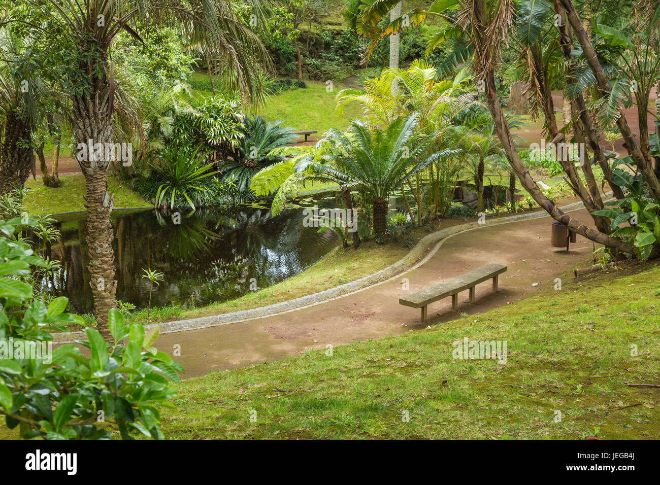 Antonio Botanical Garden in Ponta Delgada. Ponta Delgada on the