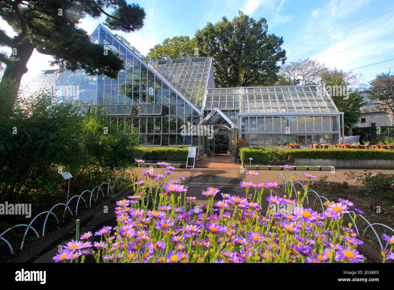 Japan greenhouse hi-res stock photography and images - Alamy