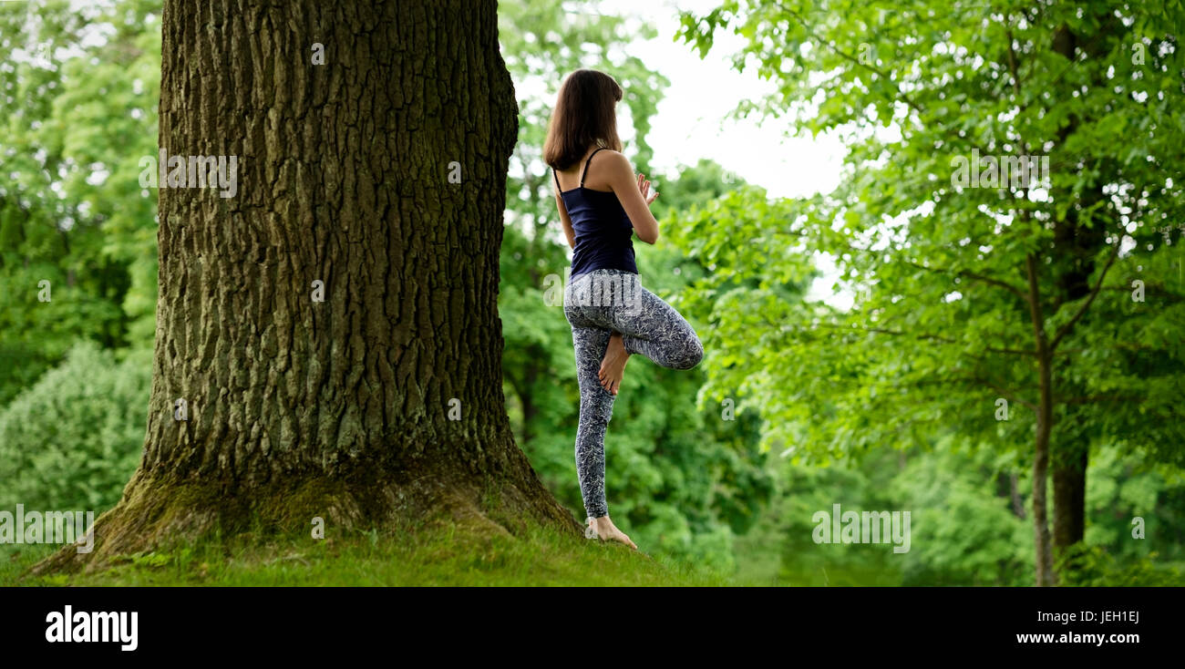 Attractive young female is practicing yoga and doing asana Vrikshasana in the morning. Stock Photo