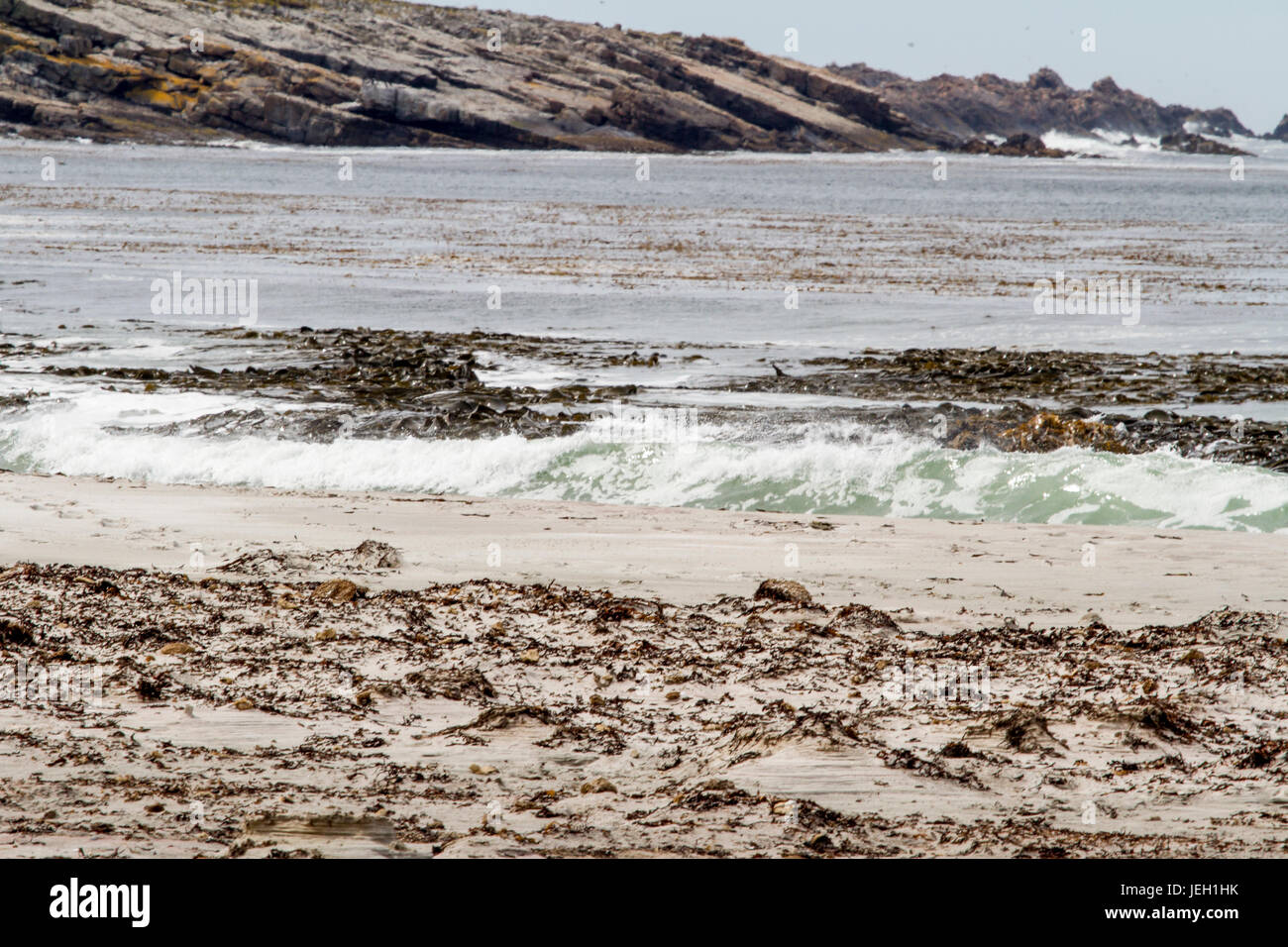 https://c8.alamy.com/comp/JEH1HK/beautiful-beach-at-port-stanley-falkland-islands-JEH1HK.jpg