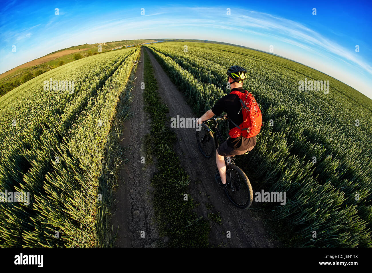Bicycle Rider Rear View Rear view of the young cyclist riding bicycle on the road of the field ...